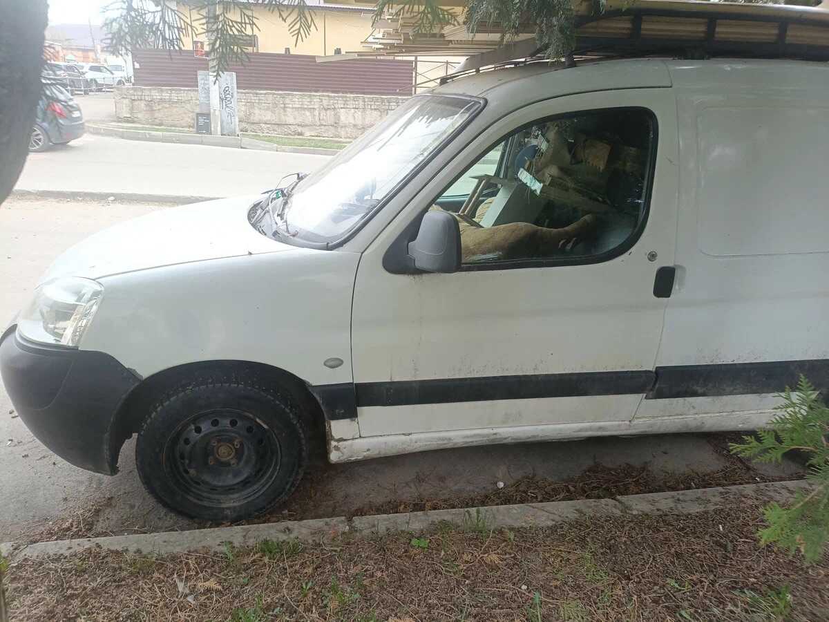 Citroen Berlingo